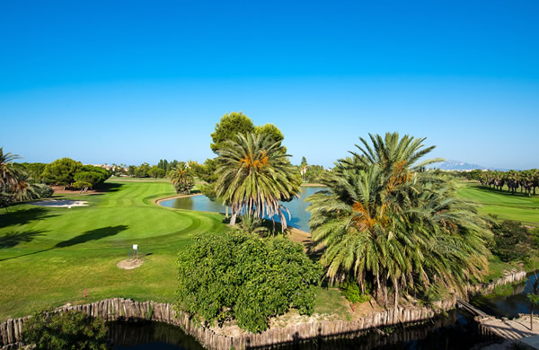 Liguilla Senio r (Federación de Golf de la Comunitat Valenciana)